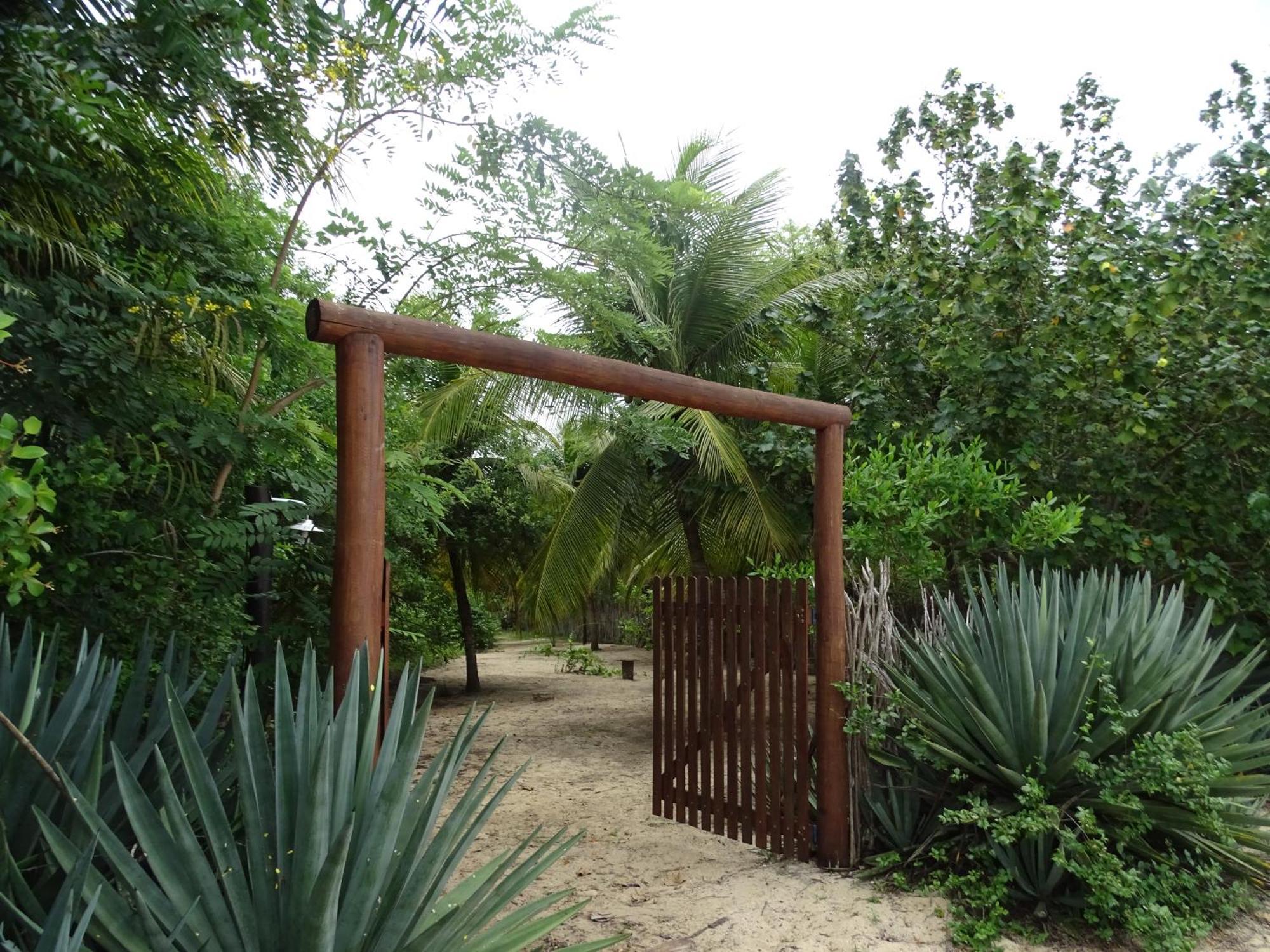 Отель Jungle House Сан-Мигел-ду-Гостозу Экстерьер фото